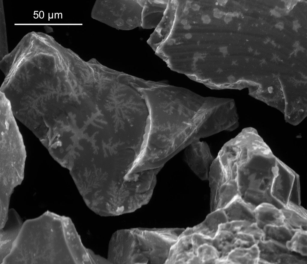 Microscopy image of fractal shapes spreading along pyrite grains