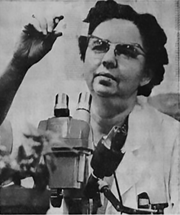 Mary Taylor Vinje studying a microscope slide