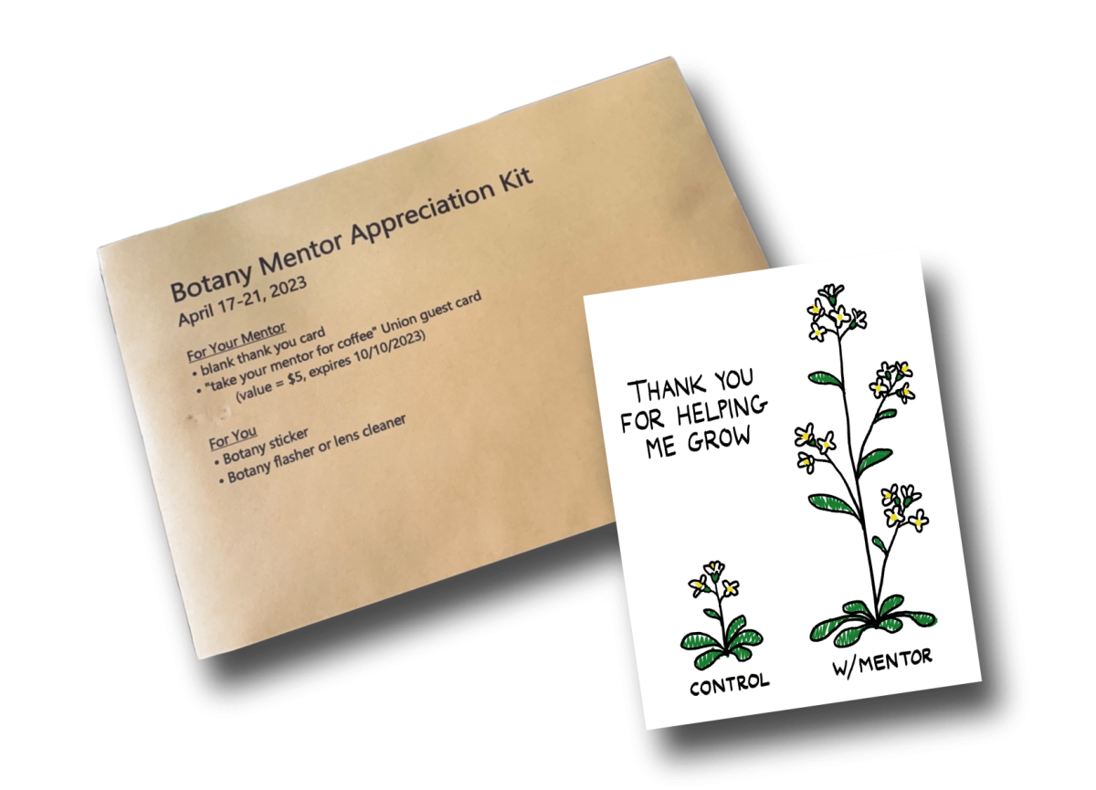 mentor appreciation kit