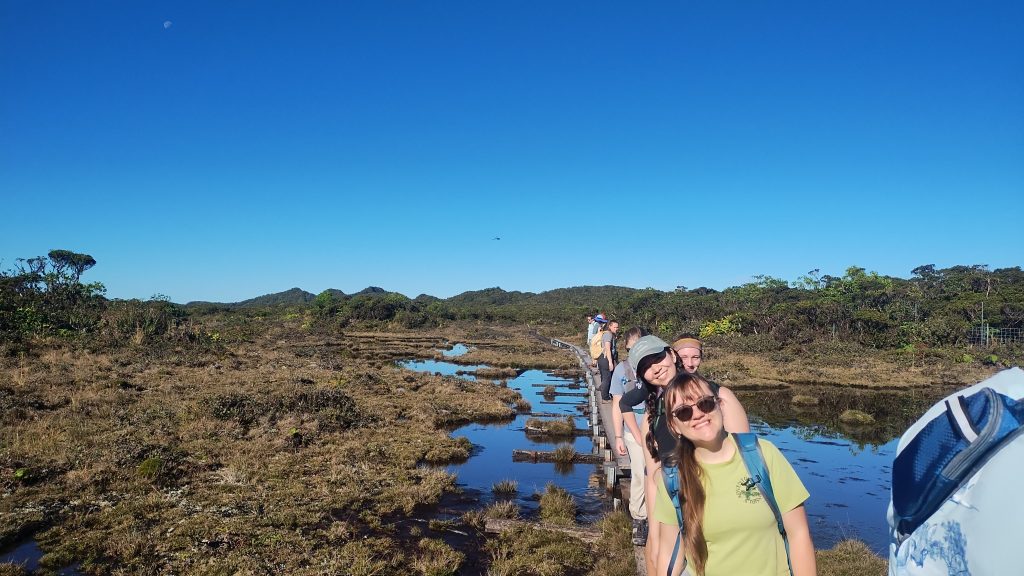 Students hike through the Alakaʻi swamp. 
